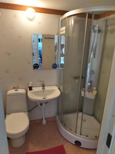 a bathroom with a toilet and a shower and a sink at Svalsjöns Stugor Öland in Köpingsvik