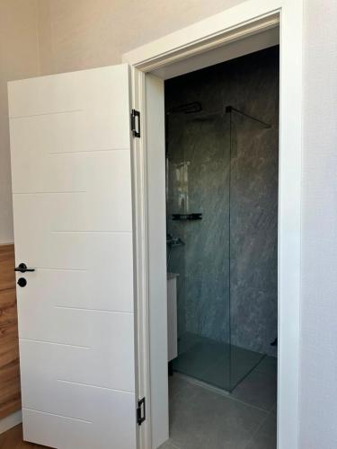 a glass shower door in a bathroom with a shower at Caspian Deluxe Apart Hotel in Aktau