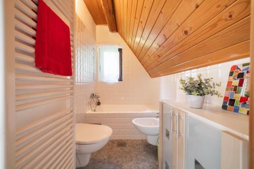 a bathroom with a toilet and a bath tub at Sanjska Hiša Vojsko in Idrija
