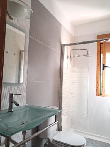 a bathroom with a green sink and a toilet at El balcón de Cuadros in Jaén