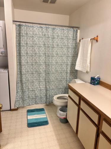 a bathroom with a toilet and a shower curtain at Central Comfort Duplex in Moses Lake