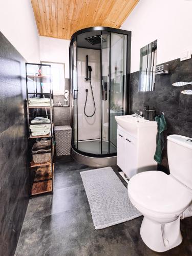a bathroom with a shower and a toilet and a sink at Dovolenkový dom in Mojš