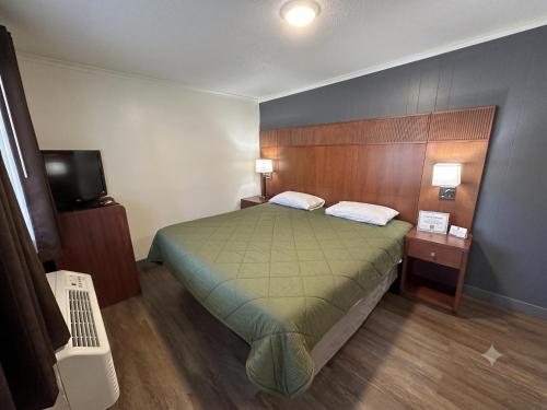 a small bedroom with a bed and a television at Union Avenue Motel in Portland