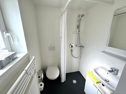 a small bathroom with a toilet and a sink at Tiny-Ferienhäusle Casa Wendy in Loßburg