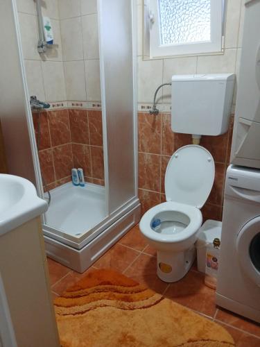 a bathroom with a shower and a toilet and a sink at Drina Lake House in Zvornik