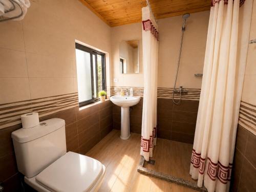 a bathroom with a toilet and a sink at Guesthouse Pashko in Theth