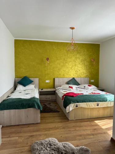 two beds in a room with green walls at Casa Ilinca Bran in Şimon