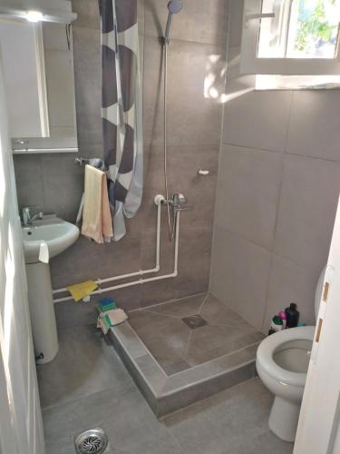 a bathroom with a shower and a toilet at Smestaj kod Sneze in Dojkinci