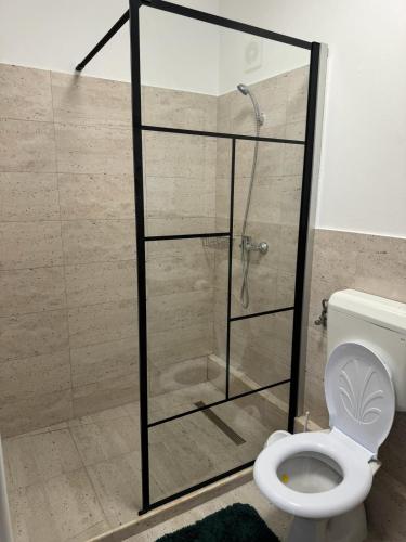 a shower stall in a bathroom with a toilet at Casa Ilinca Bran in Şimon
