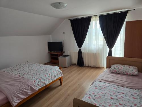 a bedroom with two beds and a television in it at Casa Luci&Matei in Căciulata