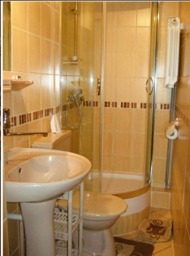 a bathroom with a shower and a sink and a toilet at U Stenia in Murzasichle