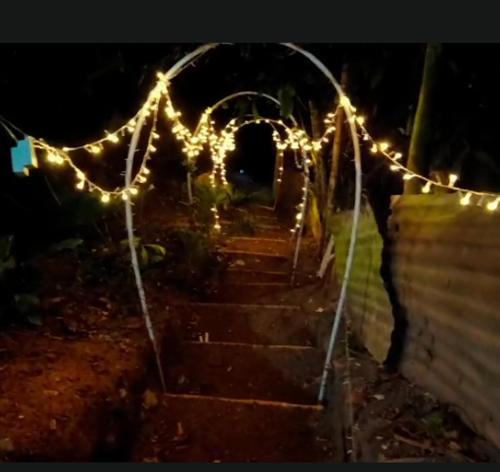 a set of stairs with lights on it at night at Cabaña la Valkiria in Falan