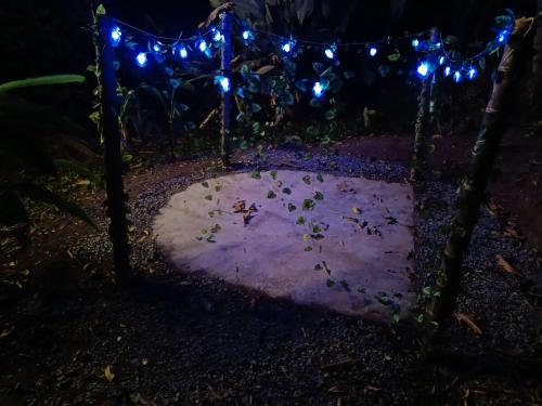a swing with lights on it in the dark at Cabaña la Valkiria in Falan