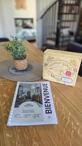 a book and a potted plant sitting on a table at L'escale du Cap A in Barneville-Carteret