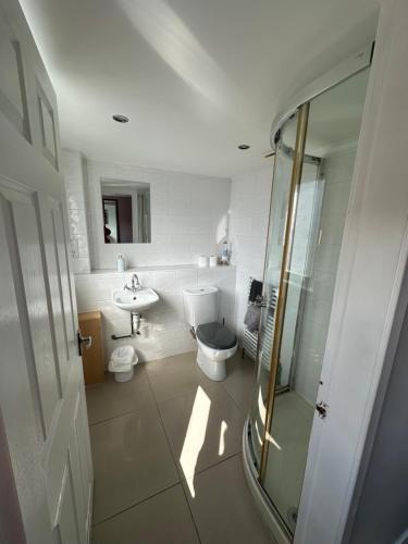 a bathroom with a toilet and a sink and a shower at Rooms at 31 in Stonehaven