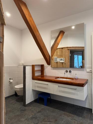 a bathroom with a sink and a mirror at Deichoase bei Friesens mit Sauna in Barsfleth