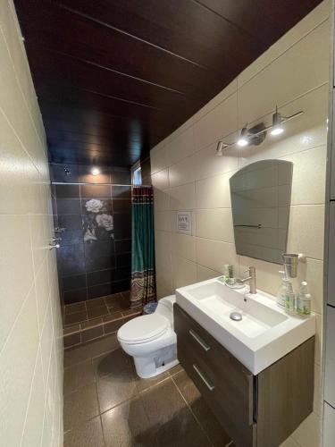 a bathroom with a sink and a toilet and a mirror at Cerroazulfarmlodge in Cerro Azul