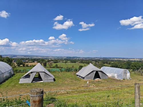 a group of tents on a grassy field at Gallow Hill Campsite in Startforth