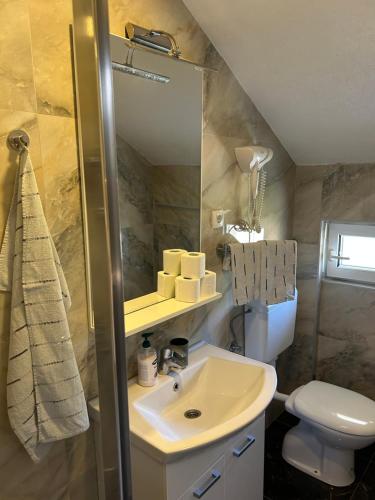 a bathroom with a sink and a toilet and a mirror at Irena Apartment near Aqua Park in Trebinje
