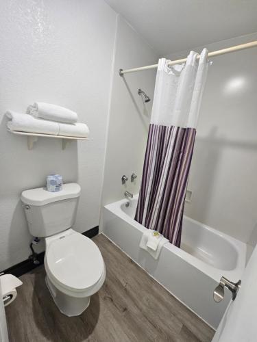 a bathroom with a toilet and a shower curtain at Ramada by Wyndham Westminster Denver in Westminster