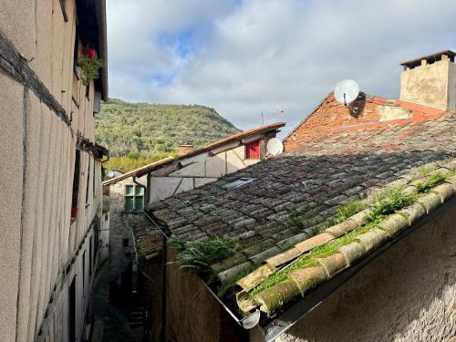 an alley with plants on the roofs of buildings at Maison du Roy / Royal Chambers in Saint-Antonin