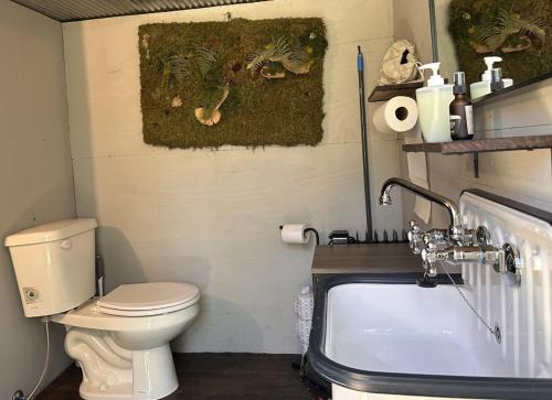 a bathroom with a toilet and a sink at Loblolly Pines Adventure Aframe #2 in Eureka Springs