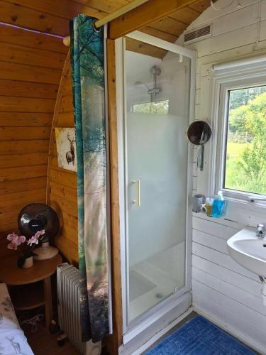 a bathroom with a shower and a sink at Glamping Pod in St Austell Sleeps 2 with Spa Pool in Lanivet