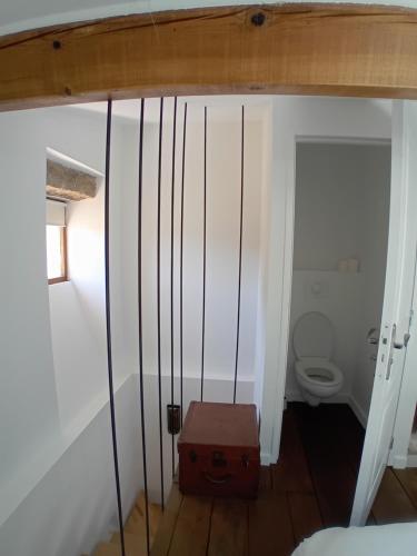 a small bathroom with a toilet and a suitcase at Casetta - Appartement dans maisonnette rustique in Cognocoli-Monticchi