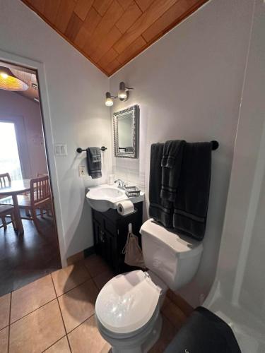a bathroom with a white toilet and a sink at Hôtel Auberge St-Félicien in Saint-Félicien