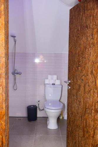 a bathroom with a white toilet in a room at Villa Loni in Pozharan