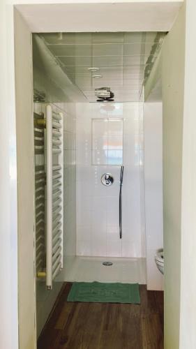 a bathroom with a shower and a toilet at Cap Almyra, on Lavasina Beach, Erbalunga in Brando