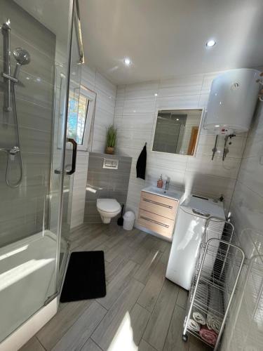 a bathroom with a shower and a toilet and a sink at Chill House Sedranki in Olecko