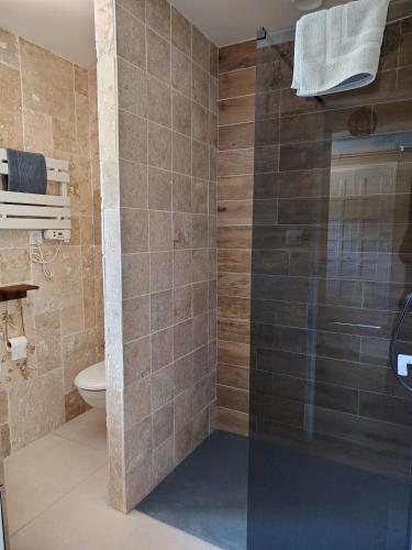 a bathroom with a glass shower with a toilet at Une histoire à écrire in Belleville-sur-Saône