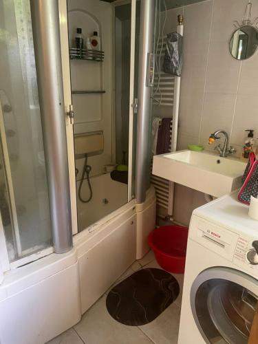 a bathroom with a washing machine and a sink at Sopotnica - Apartman na vodopadima in Prijepolje