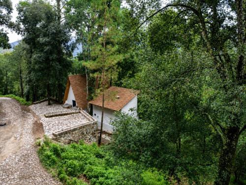 a small house in the middle of a forest at Cabaña sueño real in Mazamitla