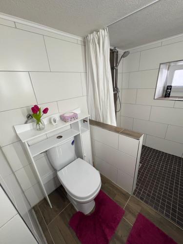 a white bathroom with a toilet and a sink at Landglück in Ibbenbüren
