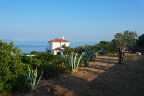 a row of plants with a house in the background at Villa Azul - A Timeless Retreat Above the Aegean in Alonnisos