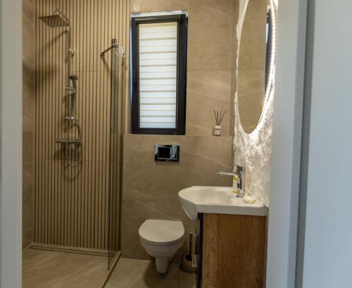 a bathroom with a toilet and a sink and a shower at Domek dwóch jezior z jakuzzi, Chojno pojezierze Brodnickie in Chojno