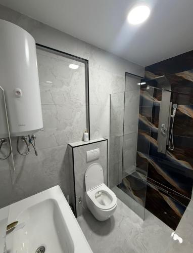 a bathroom with a toilet and a sink and a shower at Euro Hotel in Peje