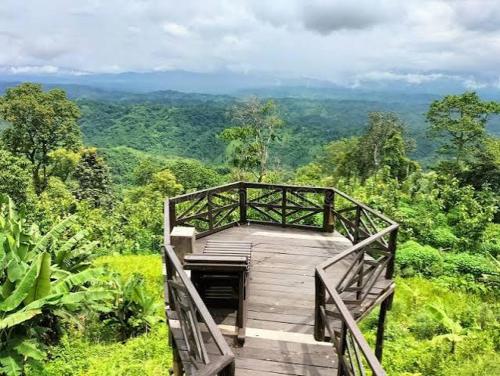 a wooden walkway in the middle of a forest at SA Housing 2 in Rangpur