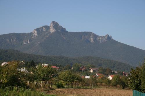 Gallery image of Apartment Licka Vodenica in Josipdol