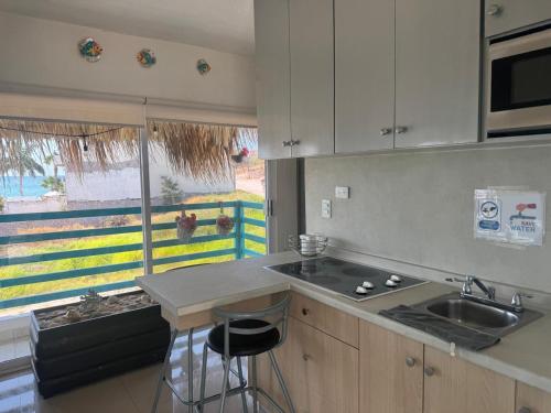 a kitchen with a counter and a sink and a window at DEPARTAMENTO SOL Y MAR in San Carlos