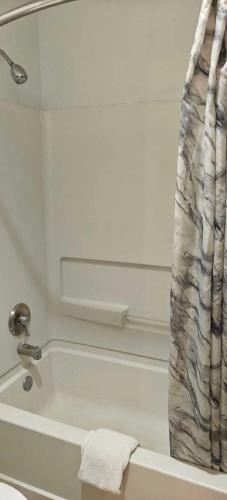 a bathroom with a bath tub with a shower curtain at Albuquerque Inn in Albuquerque