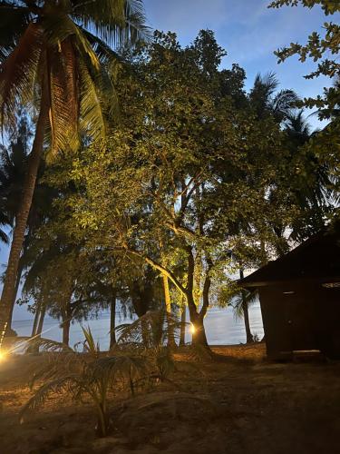a tree and a house on the beach at night at Maya Sunset Room, Coral Bay Perhentian Island in Perhentian Island