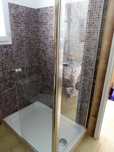 d'une douche avec une porte en verre avec un chat. dans l'établissement La Petite Maison de Marie Louise, à Lauris