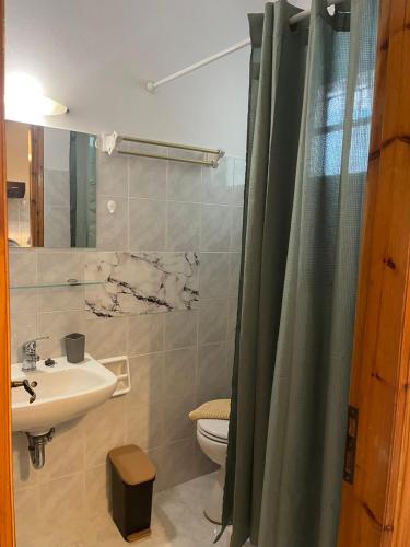a bathroom with a sink and a toilet and a shower at Alisaxni Studios in Pefki