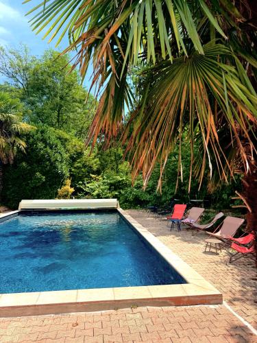 a swimming pool with two chairs and a palm tree at Kârma Hôtel in Saint-Genis-les-Ollières