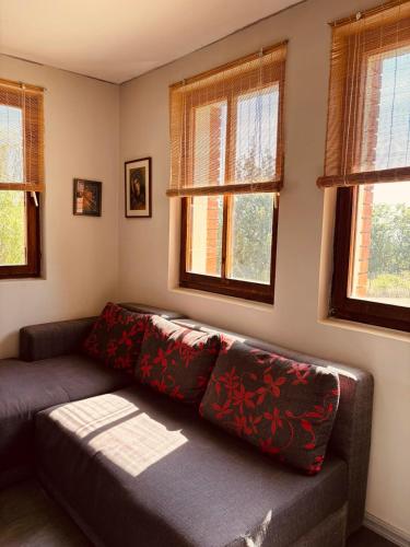 a couch sitting in a living room with windows at Cottage House Official in Niš