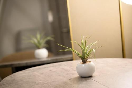 Haku Loft Hakata 202