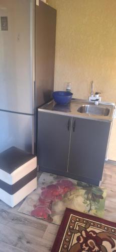 a kitchen with a sink and a refrigerator at Amir Guesthouse in Chon-Dzhargylchak